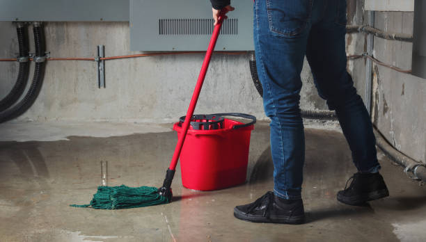 Best Water damage restoration experts  in Union Park, FL