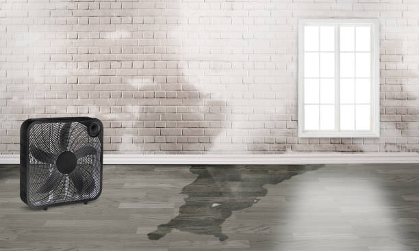 Water damage restoration experts in Union Park, FL