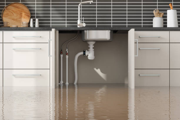  Union Park, FL Water damage restoration Pros