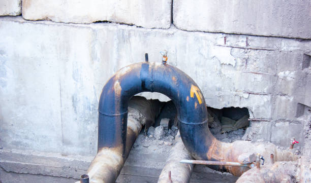 Best Water damage cleanup near me  in Union Park, FL